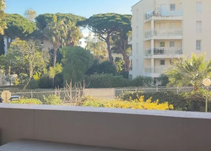 Studio Terrasse Au Port Dhyeres, Piscine, Parking Hyères